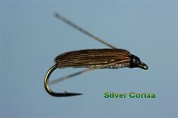 Silver Corixa